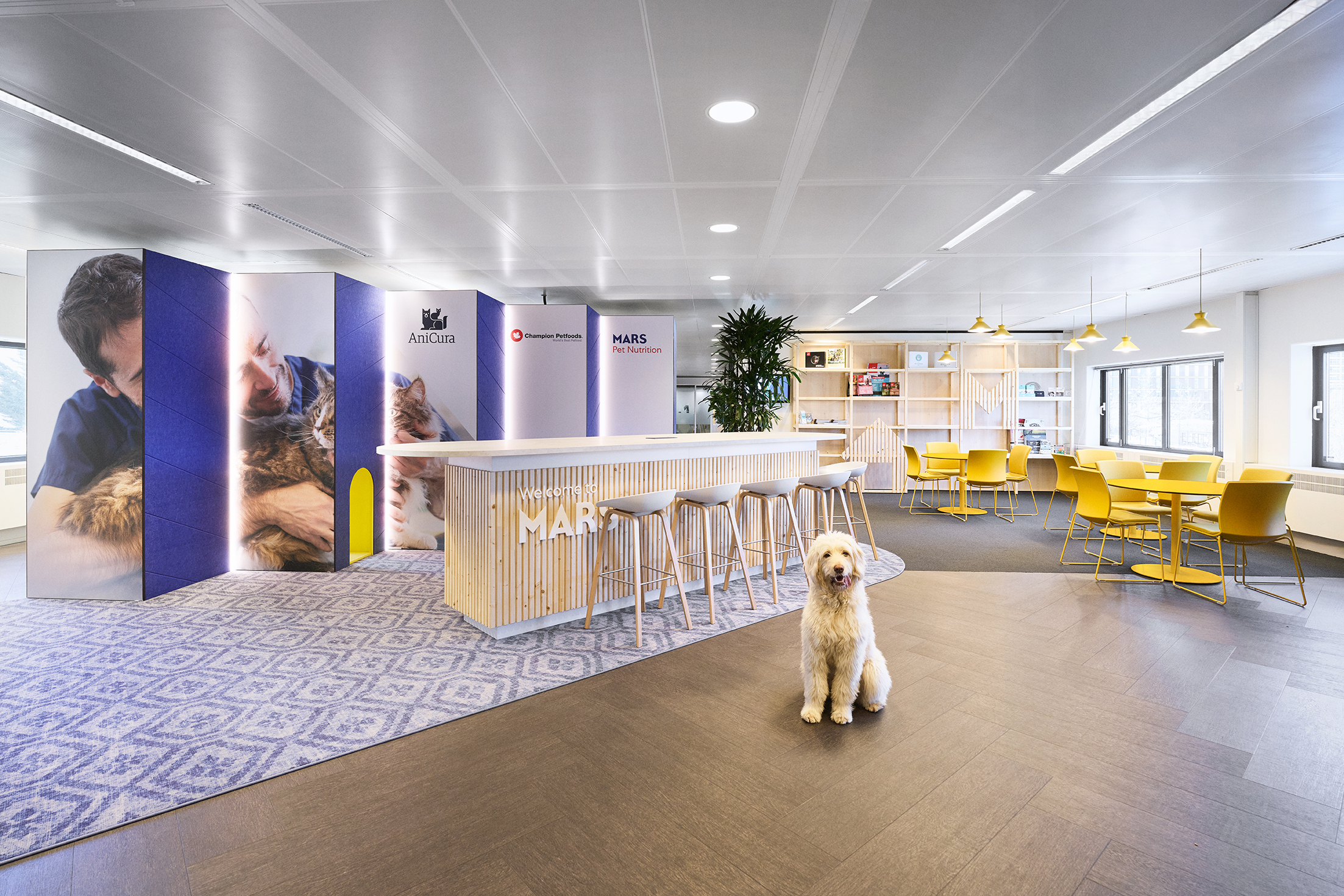 Mars Petcare office at Tribes Amsterdam Amstel Station